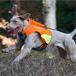 Ochranná vesta pro psa DOG GPS