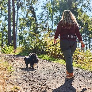 Opasek na dlouhé túry Trekking Belt 2.0 Non-stop dogwear