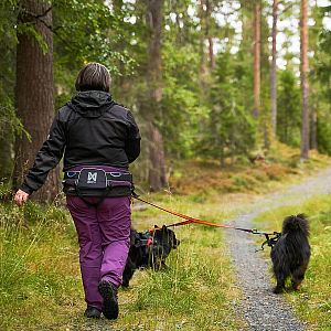 Opasek na dlouhé túry Trekking Belt 2.0 Non-stop dogwear