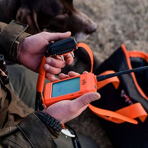 Vyhledávací a výcvikové zařízení pro psy DOG GPS X30T