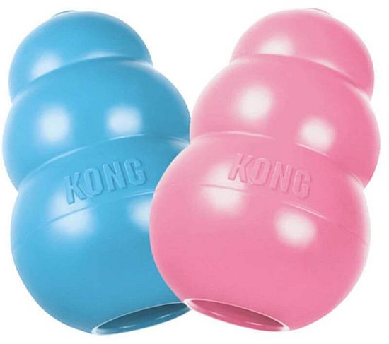 KONG Puppy granát pro psy